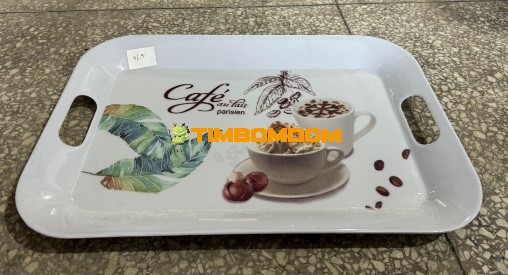 Plastic Plate 19 Inch - TBD1188305.jpeg