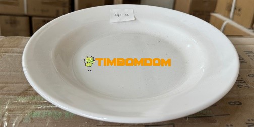 Plastic Plate 10 Inch - TBD1188307.jpeg