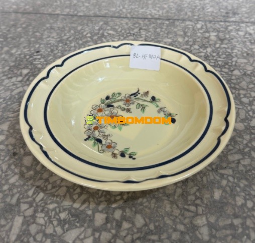 Plastic Plate 12 Inch - TBD1188313.jpeg