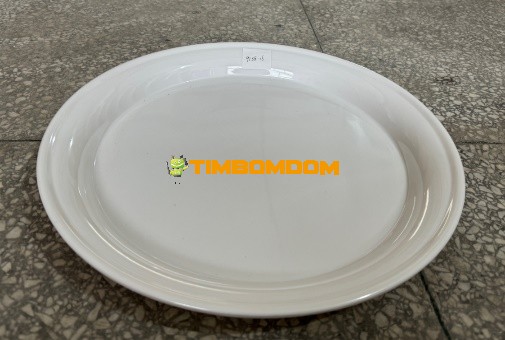 Plastic Plate 16 Inch - TBD1188314.jpeg