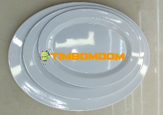 Plastic Plate 14 Inch - TBD1188320.jpeg