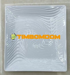 Plastic Plate 11 Inch - TBD1188330.jpeg