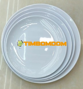 Plastic Plate 8 Inch - TBD1188344.jpeg