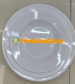 Plastic Plate 9 Inch - TBD1188357.jpeg