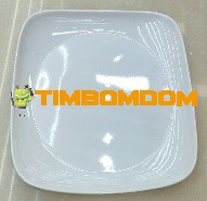 Plastic Plate 9.5 Inch - TBD1188380.jpeg