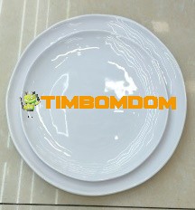 Plastic Plate 9 Inch - TBD1188381.jpeg