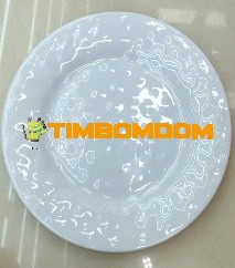 Plastic Plate 10.5 Inch - TBD1188397.jpeg