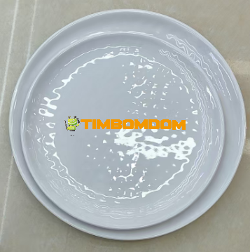 Plastic Plate 9 Inch - TBD1188401.png