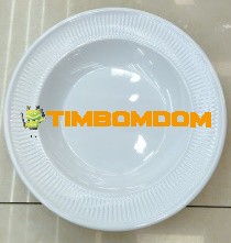 Plastic Plate 10 Inch - TBD1188403.jpeg