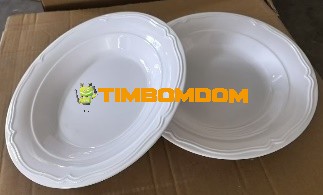 Plastic Plate 10.5 Inch - TBD1188404.jpeg