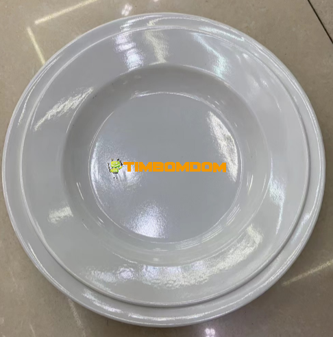 Plastic Plate 10 Inch - TBD1188434.png